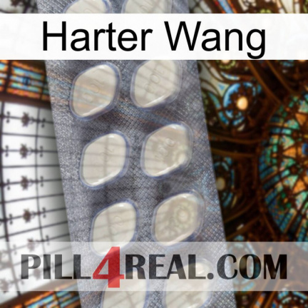 Hard Wang 08